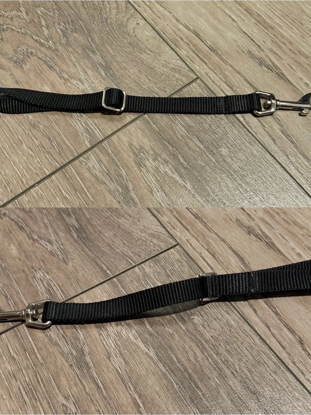 Lot of dog leashes